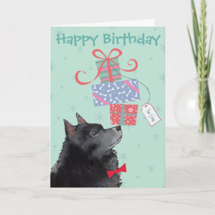 Anniversaire présente la carte Schipperke