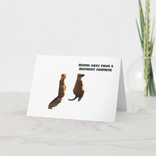 Anniversaire surprise des Meerkats, carte
