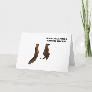Anniversaire surprise des Meerkats, carte