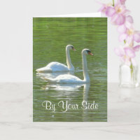 ANNIVERSARY ,"BY YOUR SIDE", TWO WHITE SWANS,