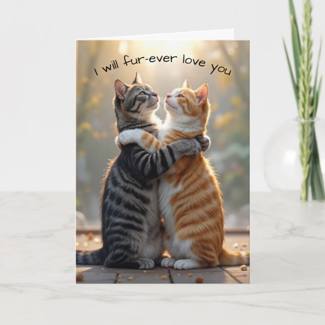 Anniversary Cats Hugging In Sunshine Card (Front)