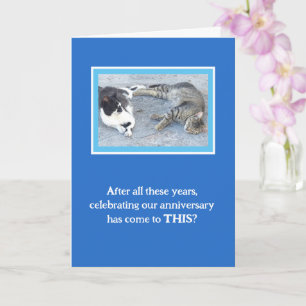 ANNIVERSARY CONTENTMENT/TWO SLEEPY CATS/ HUMOR CARD