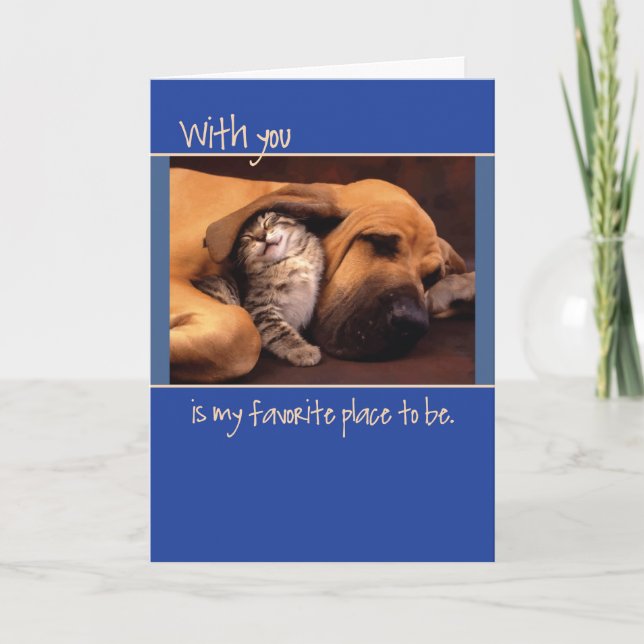 Anniversary, Dog and Kitten Card (Front)