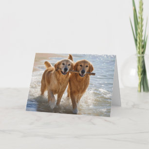 Anniversary Golden Retrievers Carrying a Stick Card