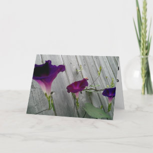 Anniversary Greeting Card