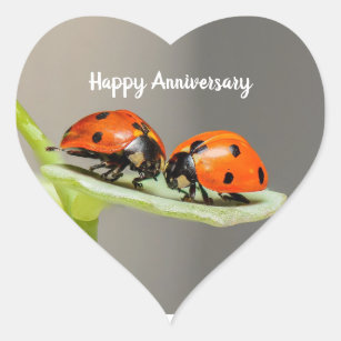 Anniversary Ladybugs Heart Stickers