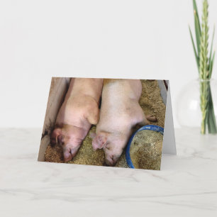Anniversary Pair Of Pigs In Pigpen Card