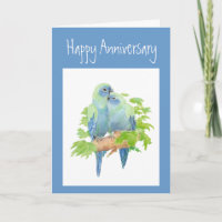 Anniversary,  Parrots, Tropical Bird