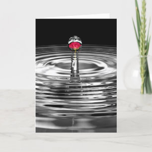 anniversary red rose in water droplet card