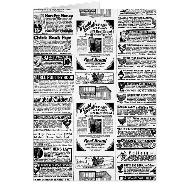 Annonces de poulet 1928 (Devant)