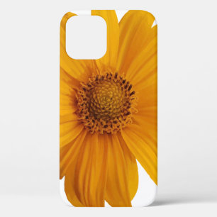 Annotation art artistic iPhone 12 case