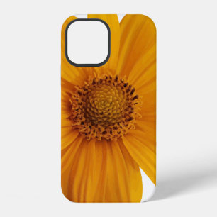 Annotation art artistic iPhone 12 case