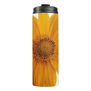 Annotation art artistic thermal tumbler