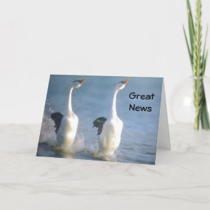 "ANNOUNCING-WE ARE EXPECTING" ANNOUNCEMENT