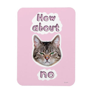 Annoyed Cat Magnet