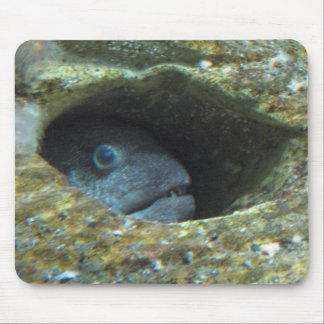 Annoyed fish mouse pad