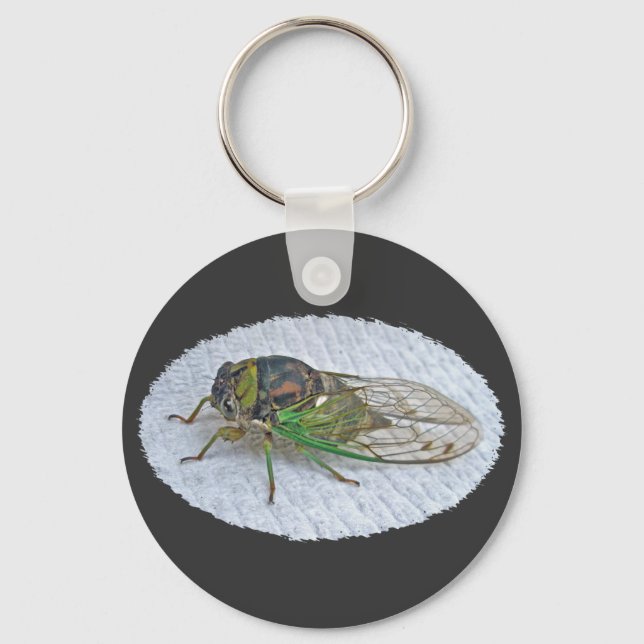 Annual Cicada Coordinating Items Keychain (Front)