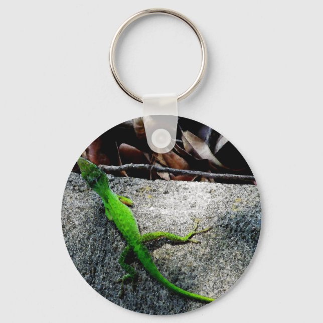 Anole 6704   keychain (Front)