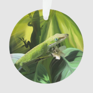 Anole Lizard