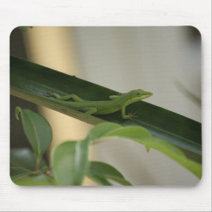 Anole Lizard Mouse Pad