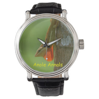 Anole Watch: Anolis pulchellus Watch