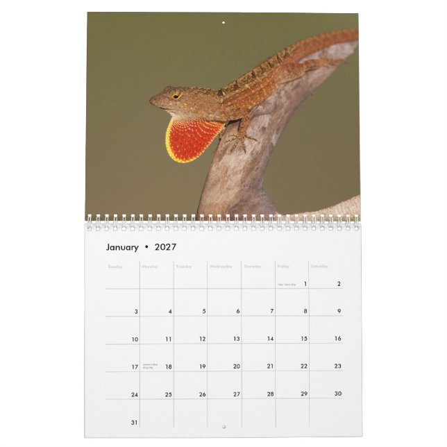 Anoles 2012 calendar (Jan 2027)