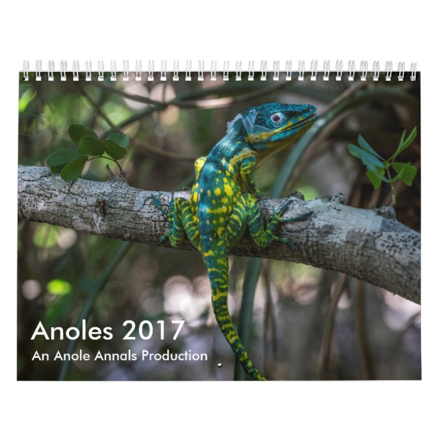 Anoles 2017 - An Anole Annals Production Calendar (Cover)