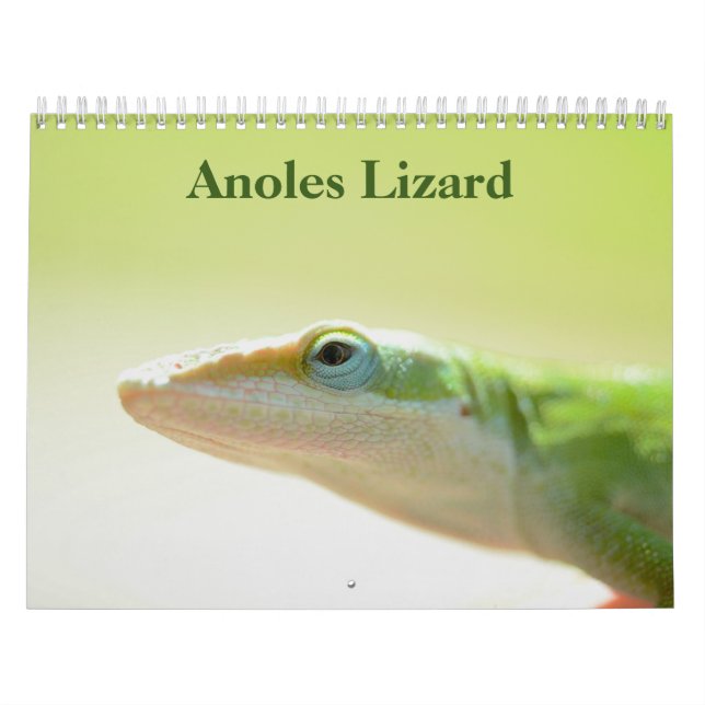 Anoles Lizard Calendrier 2025 (Protection)