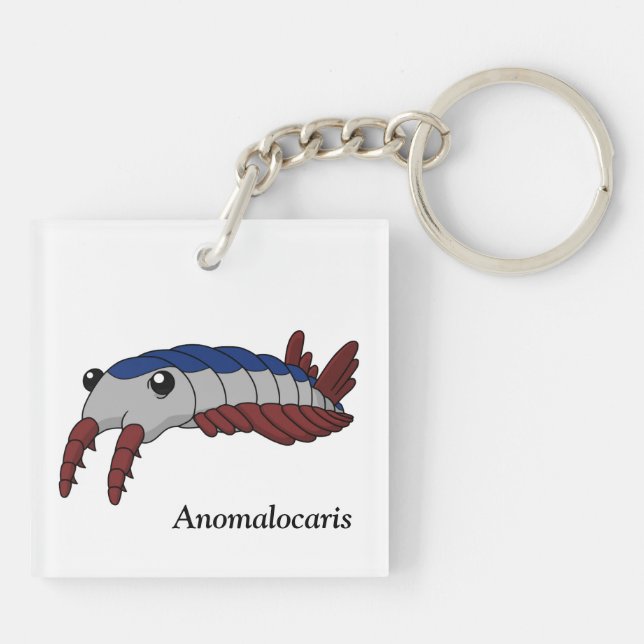 Anomalocaris - Animal préhistorique (Dos)