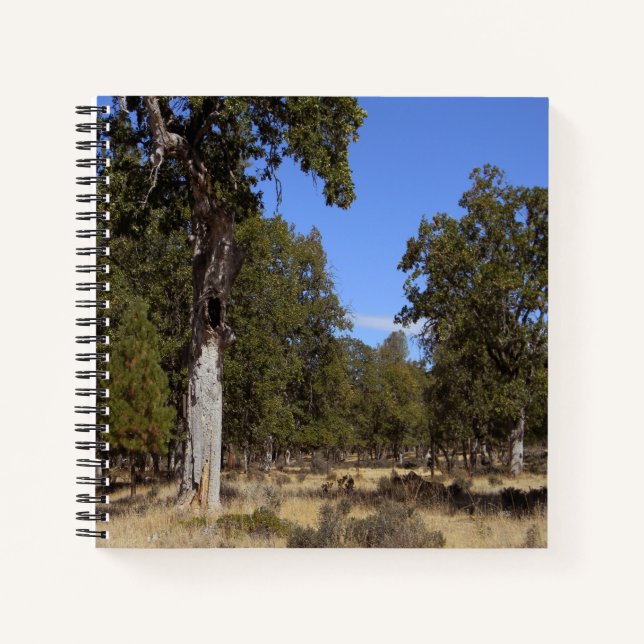 Another beautiful day.... notebook (Front)
