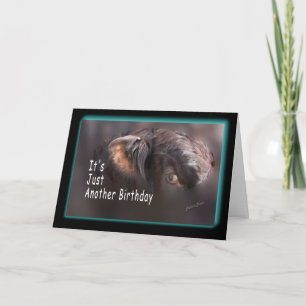 Another Birthday-customize it Card