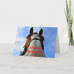 Another Birthday? Funny Horse Birthday Card
