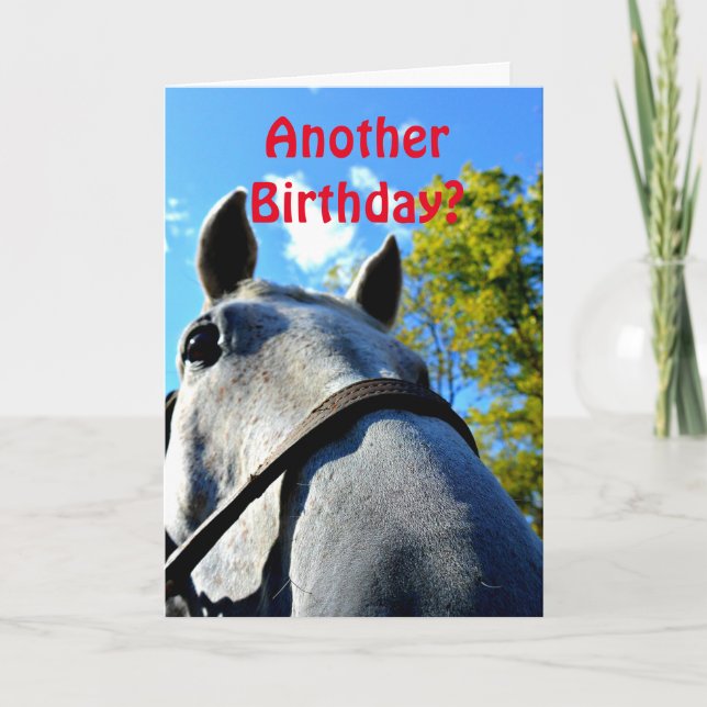 Another Birthday? Funny Horse Greeting Card (Front)