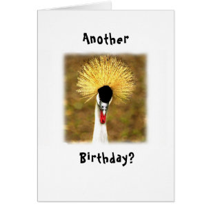 Another Birthday? Wow! Card for Senior Citizen
