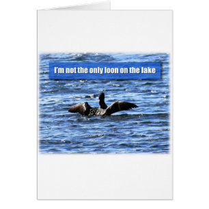 Another Loon on the Lake