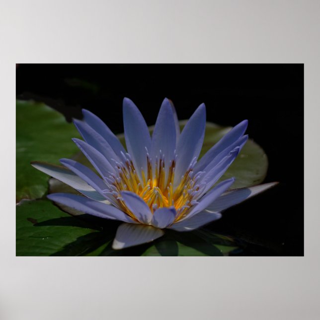 Another Moment In Time Poster (Front)