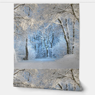 another winter wonderland wallpaper