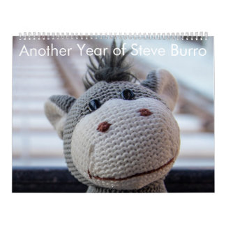 Another Year of Steve Burro Calendar