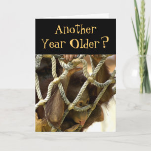 Another Year Older Birthday Card