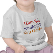 Anoushig Hamovig Hye Aghchig t-shirts