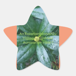 An'Rozarianbowuet2u H@ppy 2 @dvent Aurozarian Heal Star Sticker
