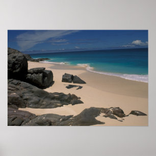 Anse bamboo; Fregate Island; Seychelles Poster