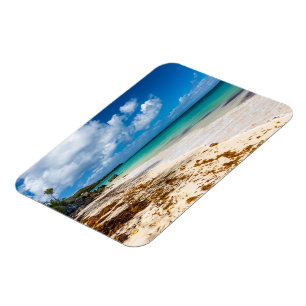 Anse Canot beach on Marie-Galante Magnet