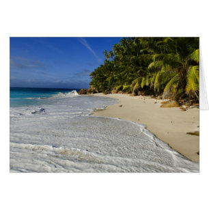 Anse Victorin Beach 2