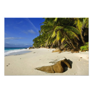 Anse Victorin Beach Photo Print