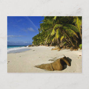 Anse Victorin Beach Postcard