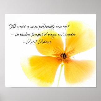 Ansel Adams quote in black text on an Orange Poppy Poster