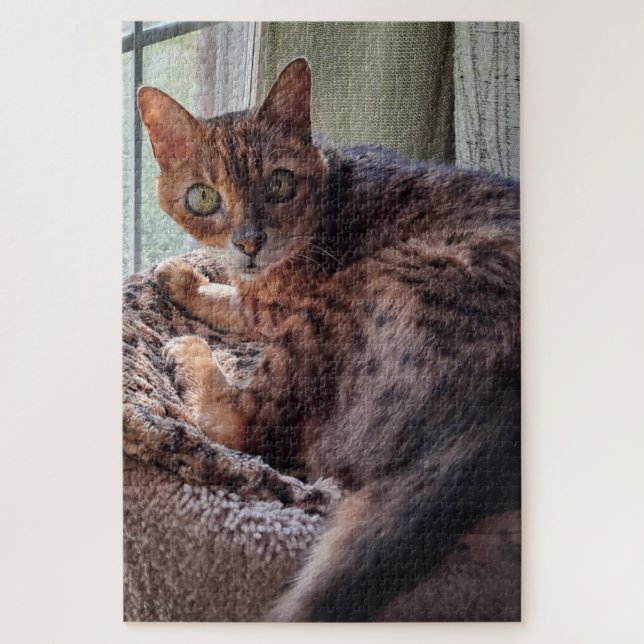 Ansel the Bengal in the Window Jigsaw Puzzle (Vertical)