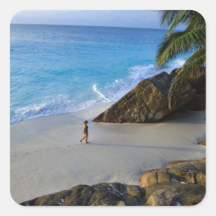 Ansi Victorin Beach, Fregate Island Square Sticker