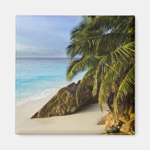 Ansi Victorin Beach Magnet